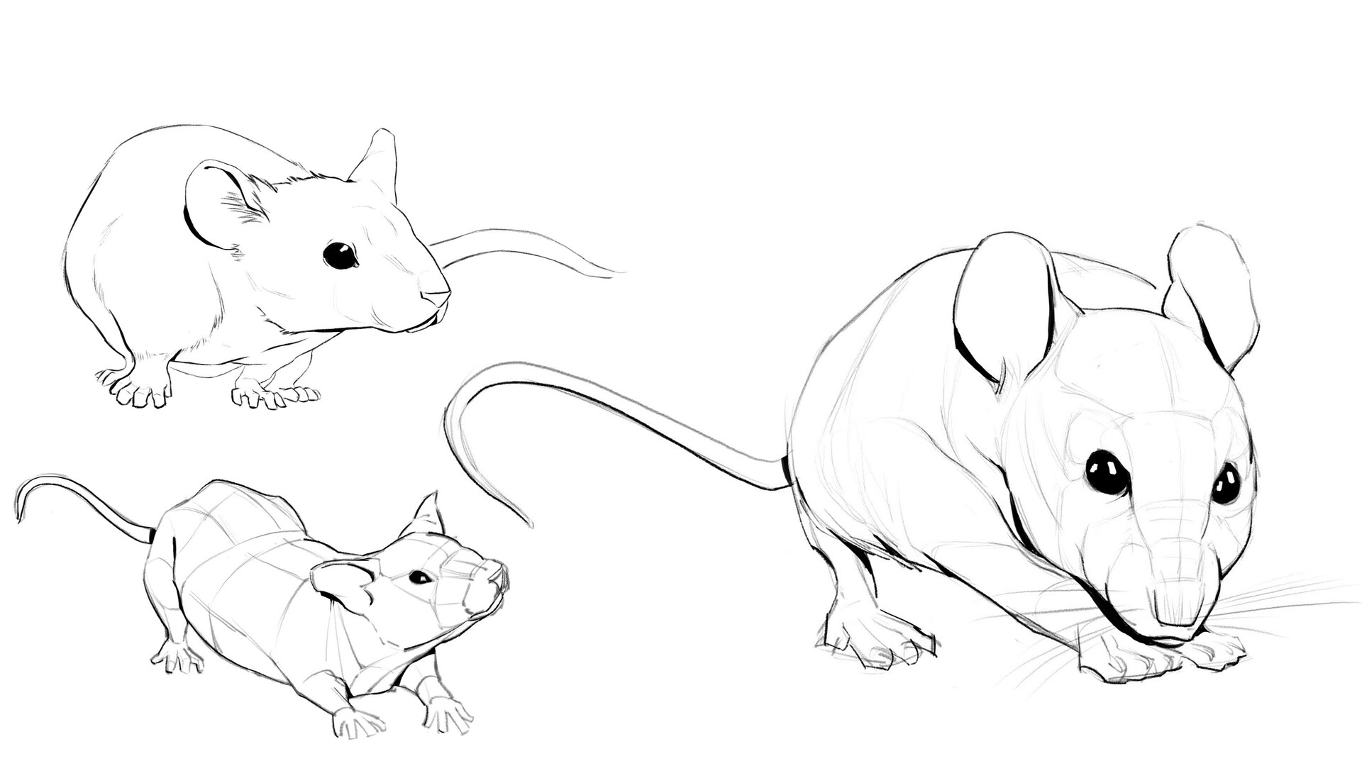 Mice